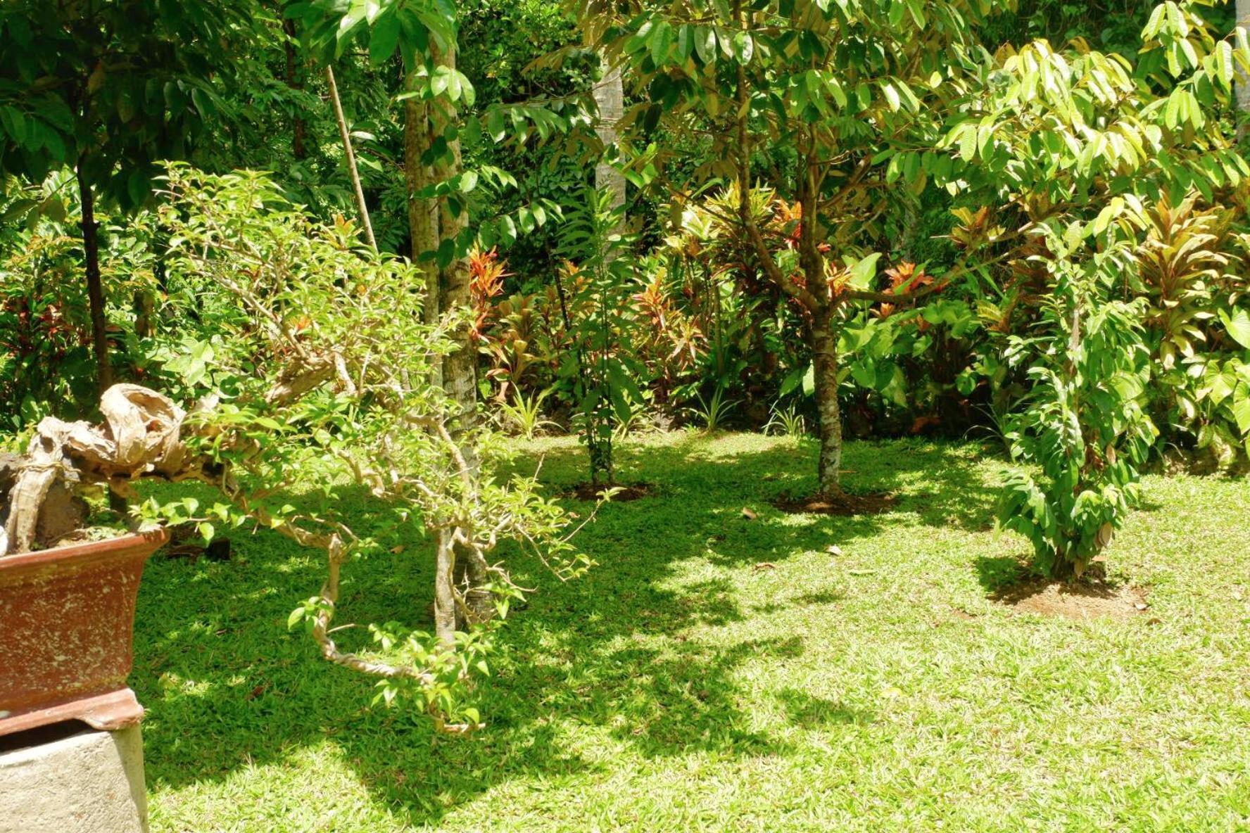 Artja Inn Ubud Dış mekan fotoğraf